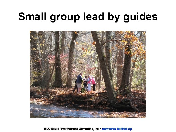 Small group lead by guides © 2019 Mill River Wetland Committee, Inc. • www.