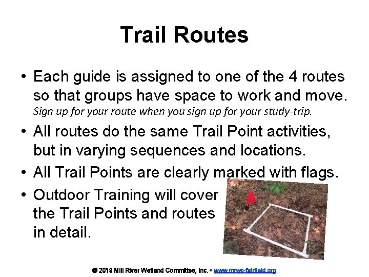 Trail Routes • Each guide is assigned to one of the 4 routes so