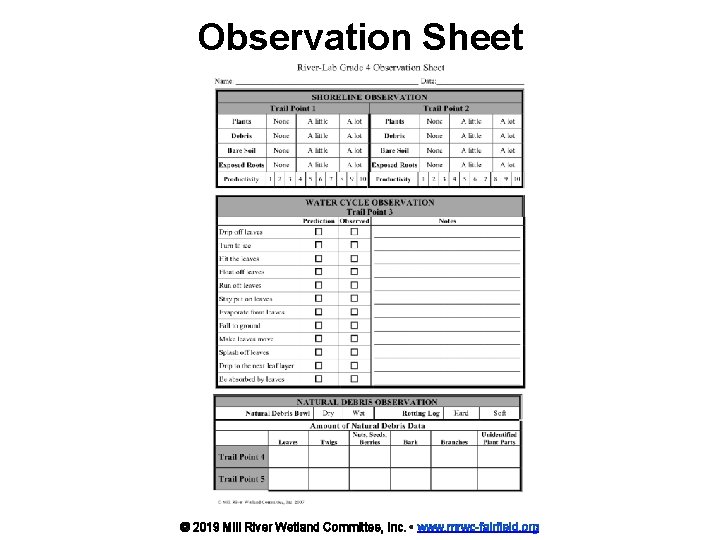 Observation Sheet © 2019 Mill River Wetland Committee, Inc. • www. mrwc-fairfield. org 
