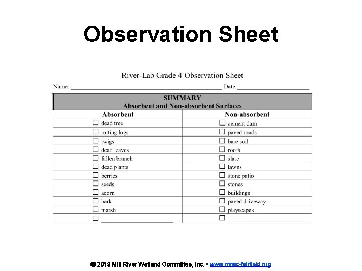 Observation Sheet © 2019 Mill River Wetland Committee, Inc. • www. mrwc-fairfield. org 