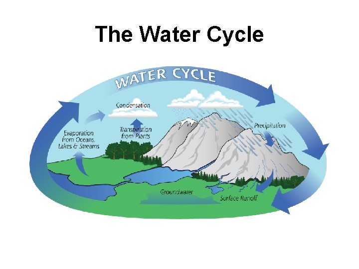 The Water Cycle 