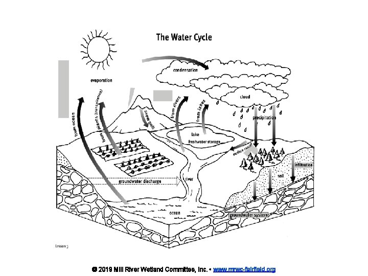 © 2019 Mill River Wetland Committee, Inc. • www. mrwc-fairfield. org 