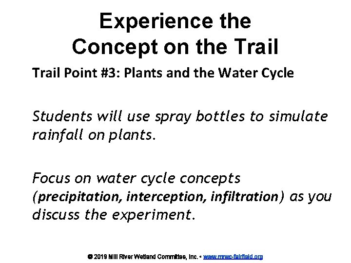 Experience the Concept on the Trail Point #3: Plants and the Water Cycle Students