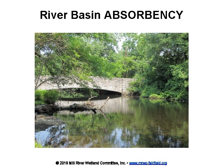 River Basin ABSORBENCY © 2019 Mill River Wetland Committee, Inc. • www. mrwc-fairfield. org