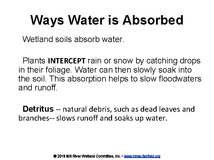 Ways Water is Absorbed Wetland soils absorb water. Plants INTERCEPT rain or snow by