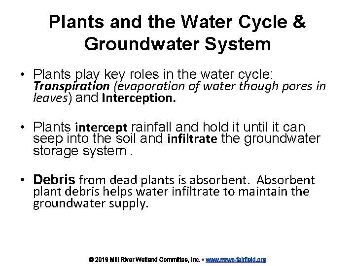 Plants and the Water Cycle & Groundwater System • Plants play key roles in
