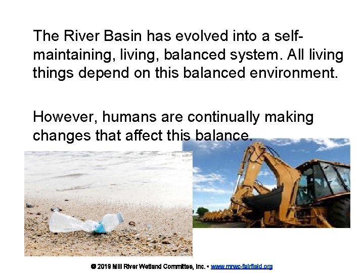 The River Basin has evolved into a selfmaintaining, living, balanced system. All living things