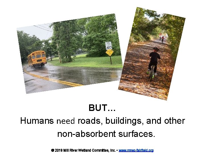 BUT… Humans need roads, buildings, and other non-absorbent surfaces. © 2019 Mill River Wetland