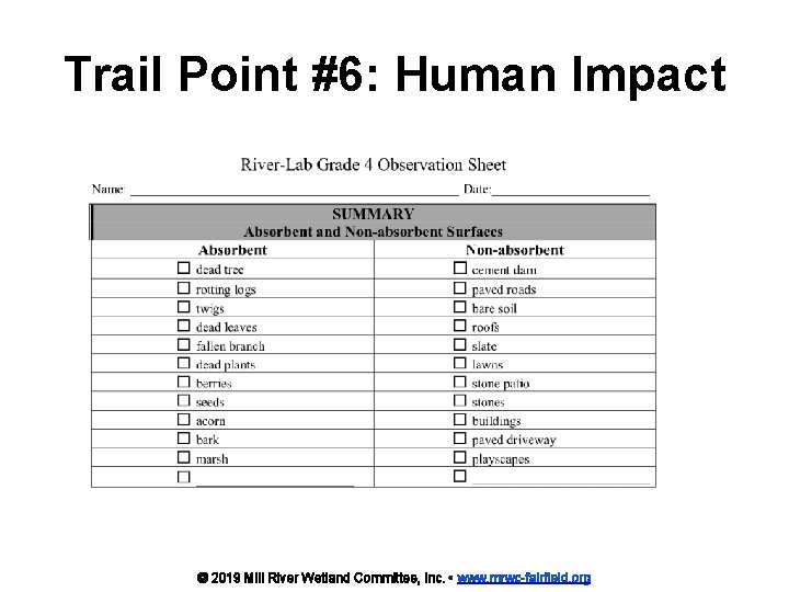 Trail Point #6: Human Impact © 2019 Mill River Wetland Committee, Inc. • www.