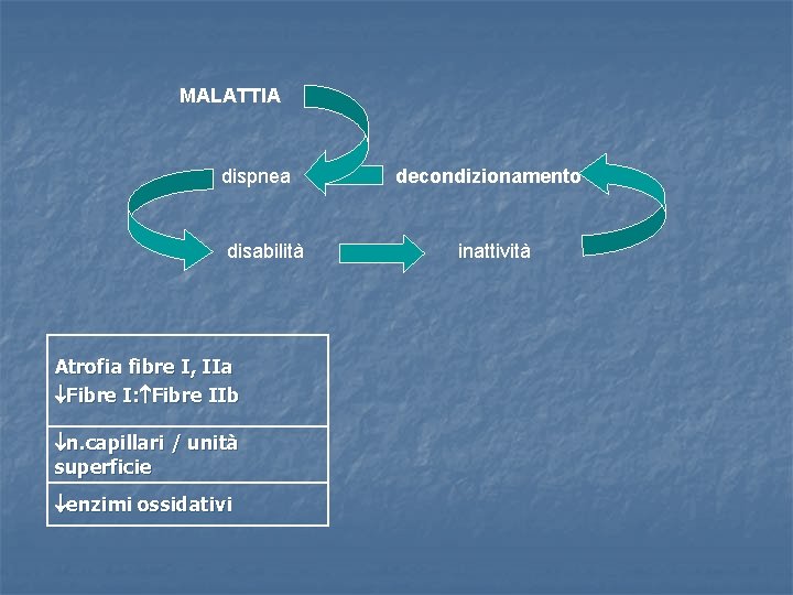 MALATTIA dispnea disabilità Atrofia fibre I, IIa Fibre I: Fibre IIb n. capillari /