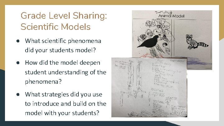 Grade Level Sharing: Scientific Models ● What scientific phenomena did your students model? ●
