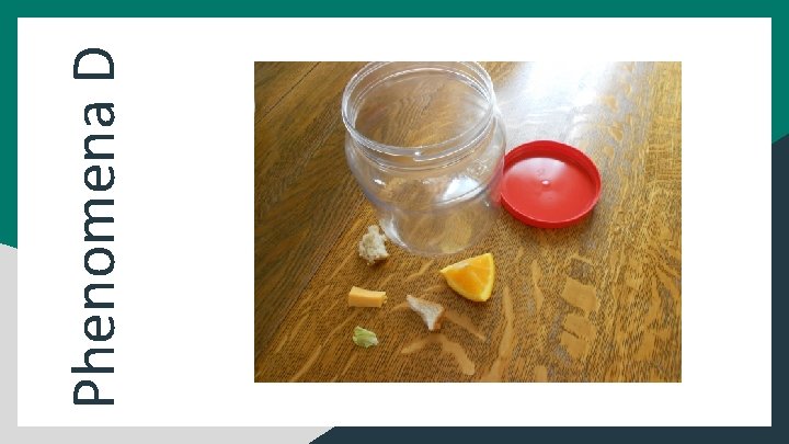 Phenomena D 