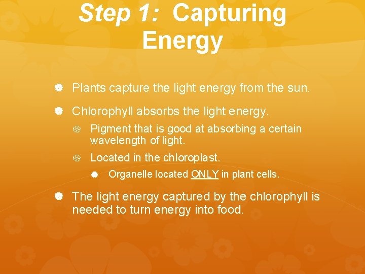 Living Organisms Energy Moretz biology 2017 Lecture Outline