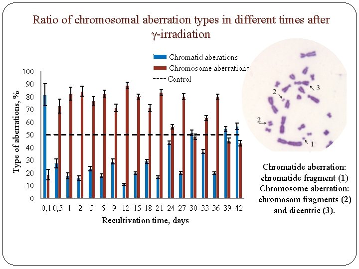Ratio of chromosomal aberration types in different times after γ-irradiation 100 Type of aberrations,