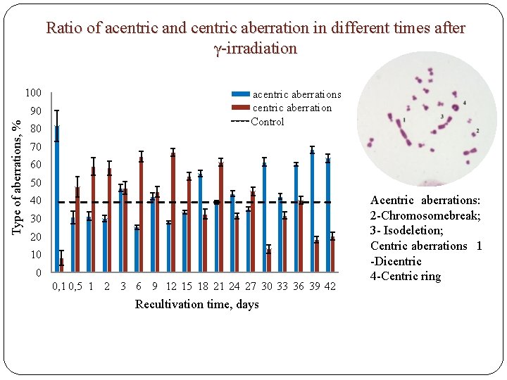 Ratio of acentric and centric aberration in different times after γ-irradiation 100 Type of