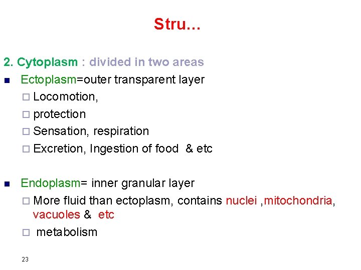 Stru… 2. Cytoplasm : divided in two areas n Ectoplasm=outer transparent layer ¨ Locomotion,