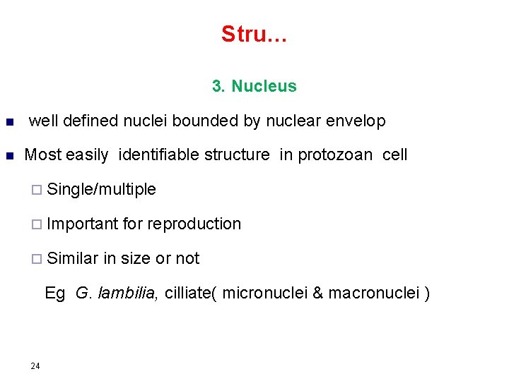 Stru… 3. Nucleus n n well defined nuclei bounded by nuclear envelop Most easily