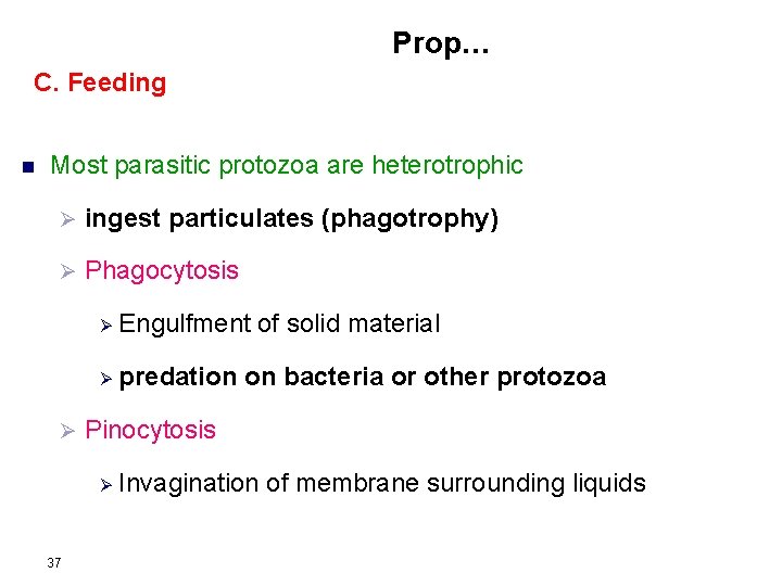 Prop… C. Feeding n Most parasitic protozoa are heterotrophic Ø ingest particulates (phagotrophy) Ø