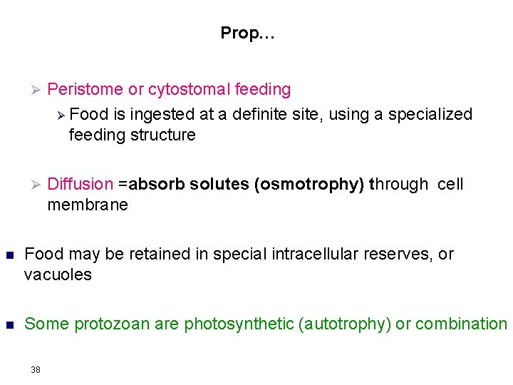 Prop… Ø Peristome or cytostomal feeding Ø Food is ingested at a definite site,