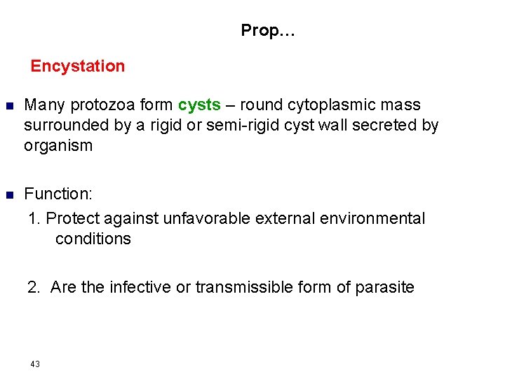 Prop… Encystation n Many protozoa form cysts – round cytoplasmic mass surrounded by a