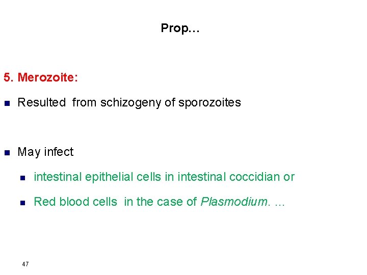 Prop… 5. Merozoite: n Resulted from schizogeny of sporozoites n May infect n intestinal