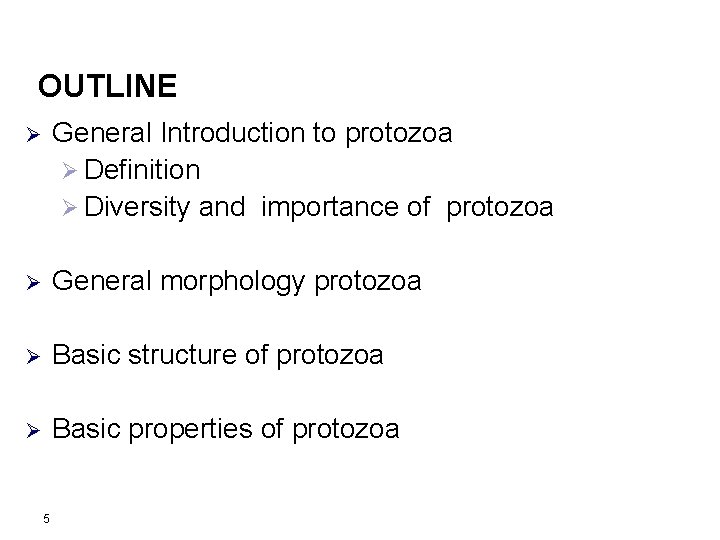 OUTLINE Ø General Introduction to protozoa Ø Definition Ø Diversity and importance of protozoa