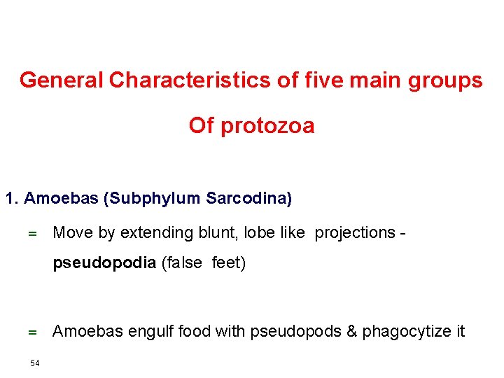 General Characteristics of five main groups Of protozoa 1. Amoebas (Subphylum Sarcodina) = Move