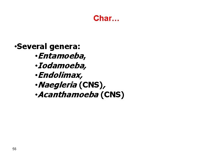 Char… • Several genera: • Entamoeba, • Iodamoeba, • Endolimax, • Naegleria (CNS), •