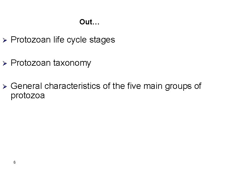 Out… Ø Protozoan life cycle stages Ø Protozoan taxonomy Ø General characteristics of the