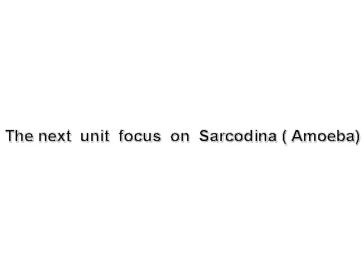 The next unit focus on Sarcodina ( Amoeba) 
