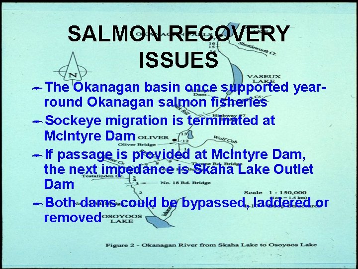 SALMON RECOVERY ISSUES ôThe Okanagan basin once supported yearround Okanagan salmon fisheries ôSockeye migration