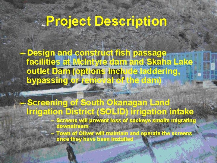 Project Description ôDesign and construct fish passage facilities at Mc. Intyre dam and Skaha