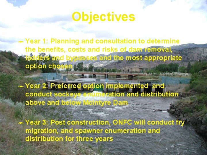 Objectives ô Year 1: Planning and consultation to determine the benefits, costs and risks