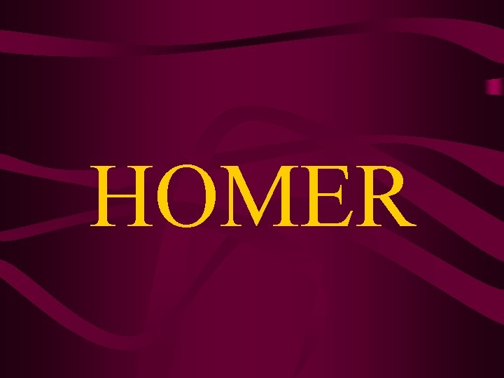 HOMER 