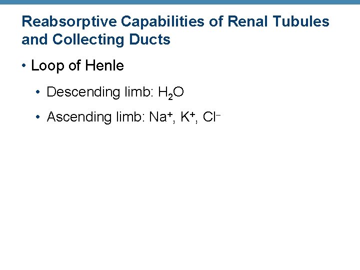 Reabsorptive Capabilities of Renal Tubules and Collecting Ducts • Loop of Henle • Descending