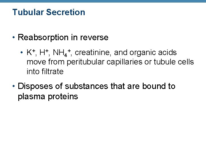 Tubular Secretion • Reabsorption in reverse • K+, H+, NH 4+, creatinine, and organic
