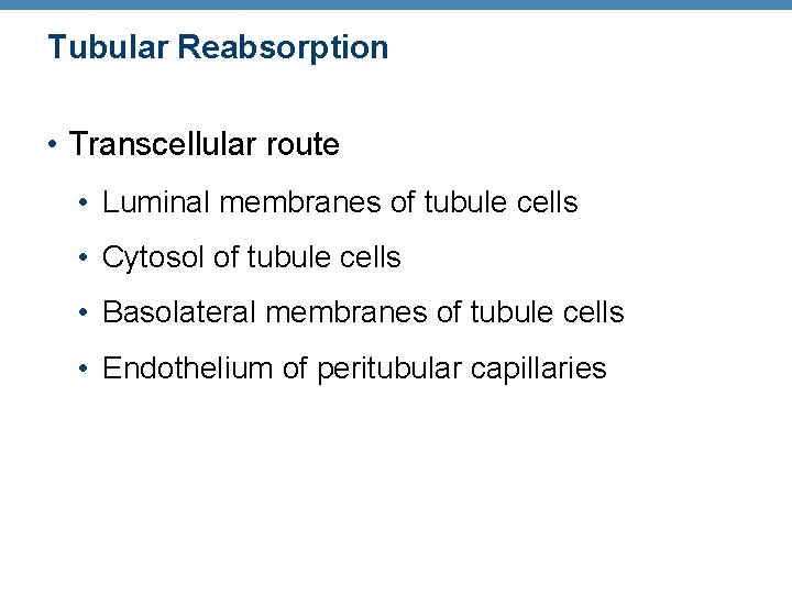 Tubular Reabsorption • Transcellular route • Luminal membranes of tubule cells • Cytosol of