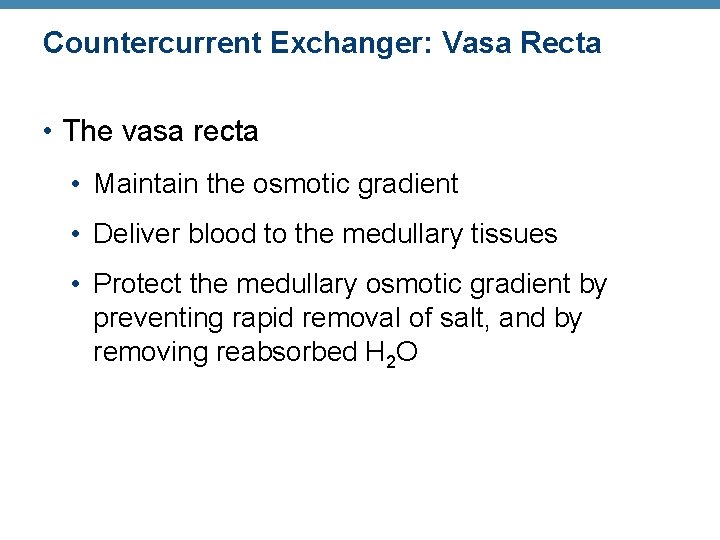 Countercurrent Exchanger: Vasa Recta • The vasa recta • Maintain the osmotic gradient •