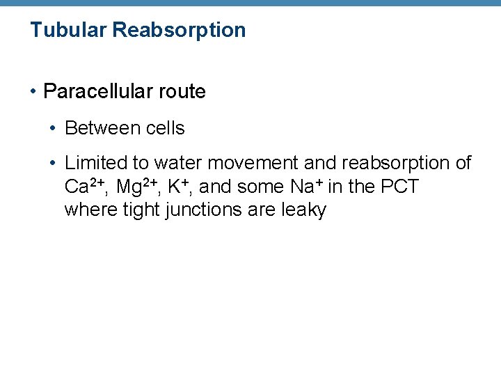 Tubular Reabsorption • Paracellular route • Between cells • Limited to water movement and