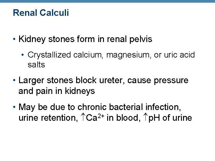 Renal Calculi • Kidney stones form in renal pelvis • Crystallized calcium, magnesium, or