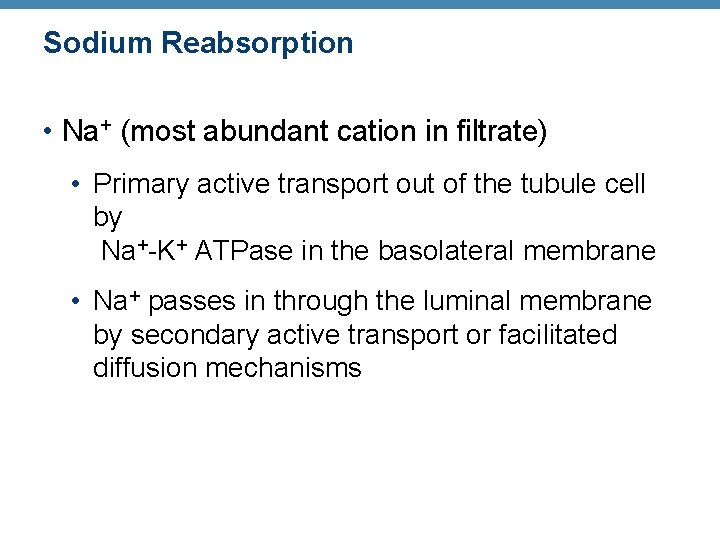 Sodium Reabsorption • Na+ (most abundant cation in filtrate) • Primary active transport out