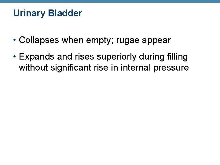 Urinary Bladder • Collapses when empty; rugae appear • Expands and rises superiorly during