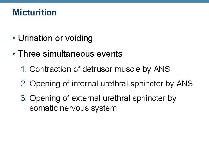 Micturition • Urination or voiding • Three simultaneous events 1. Contraction of detrusor muscle