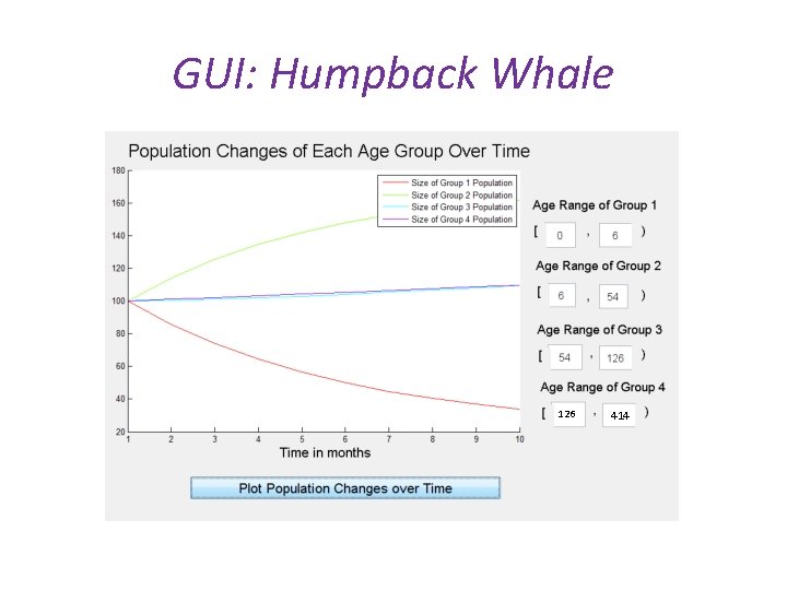 GUI: Humpback Whale 126 414 