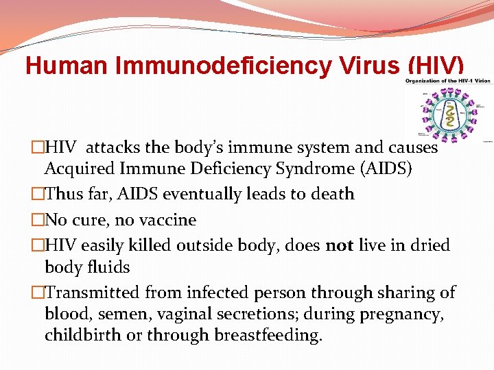 Human Immunodeficiency Virus (HIV) �HIV attacks the body’s immune system and causes Acquired Immune
