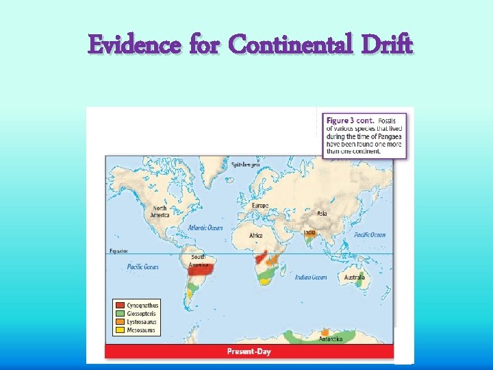 Evidence for Continental Drift 
