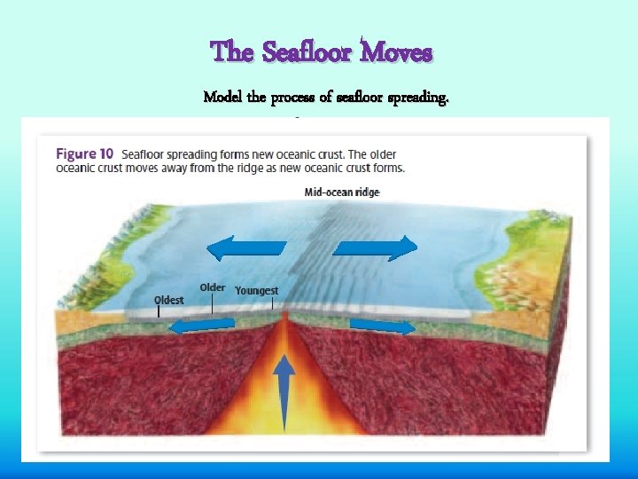 The Seafloor Moves Model the process of seafloor spreading. 