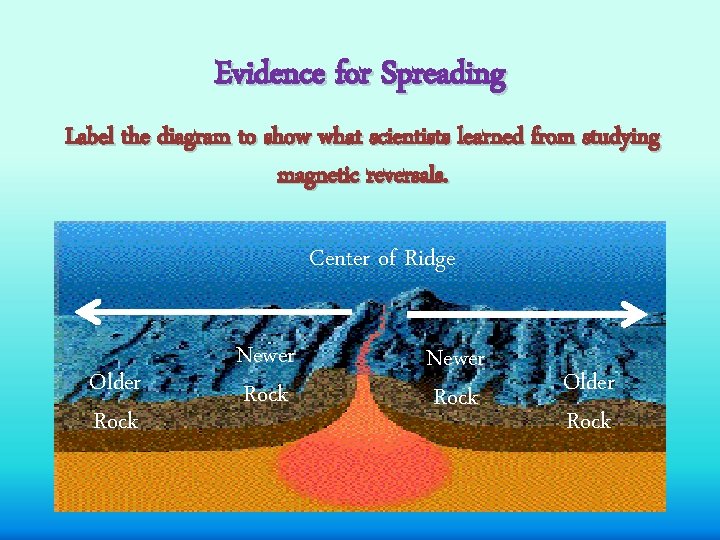 Evidence for Spreading Label the diagram to show what scientists learned from studying magnetic