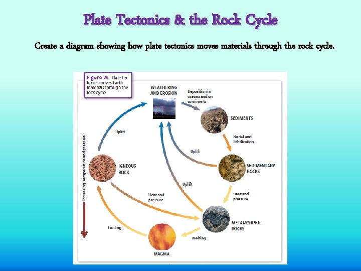 Plate Tectonics & the Rock Cycle Create a diagram showing how plate tectonics moves