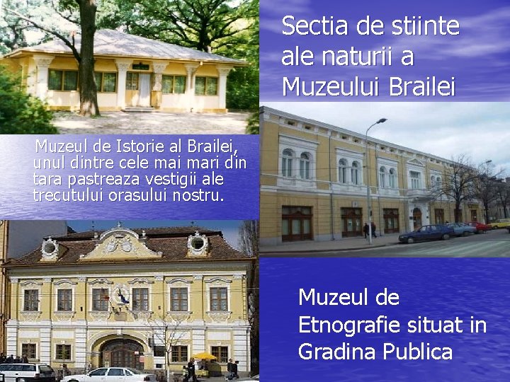 Sectia de stiinte ale naturii a Muzeului Brailei Muzeul de Istorie al Brailei, unul